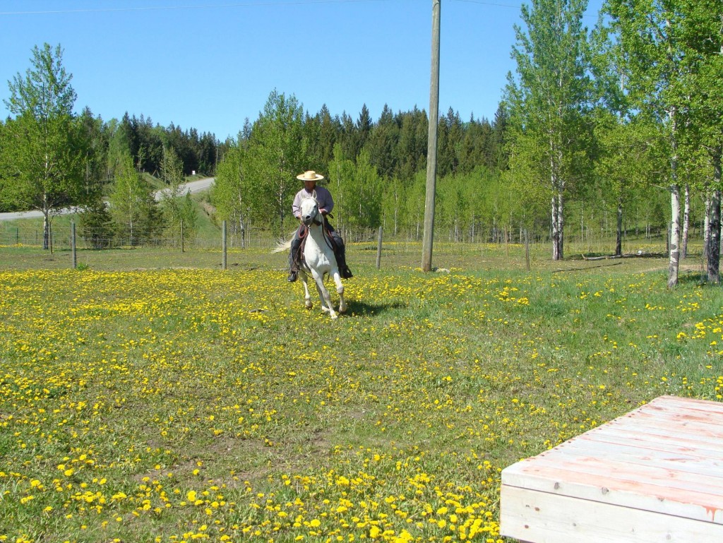 Rider on horseback crossing a meadow — community life and land connection