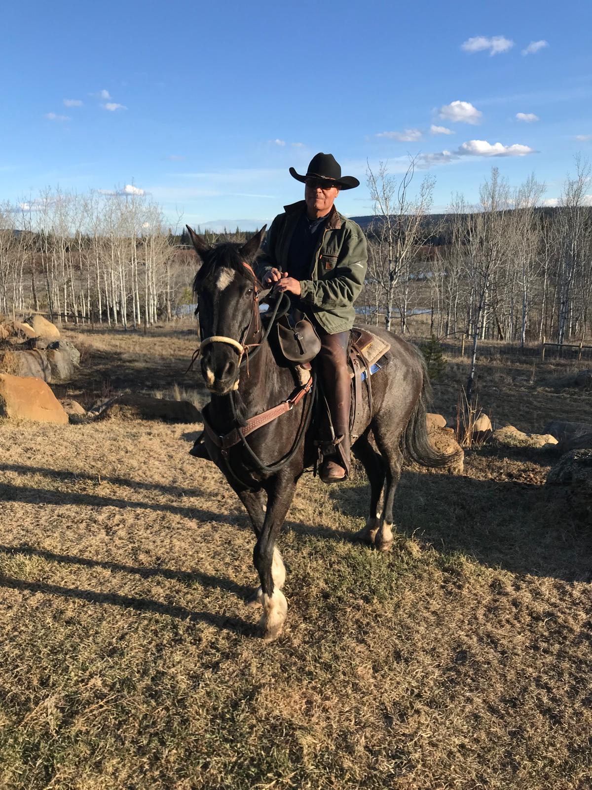 Equine-assisted therapeutic programs — 10